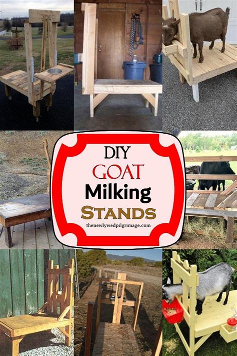 Building a Goat Milking Stand